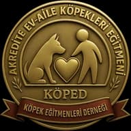 KÖPED Akredite Ev-Aile Köpekleri Eğitmeni