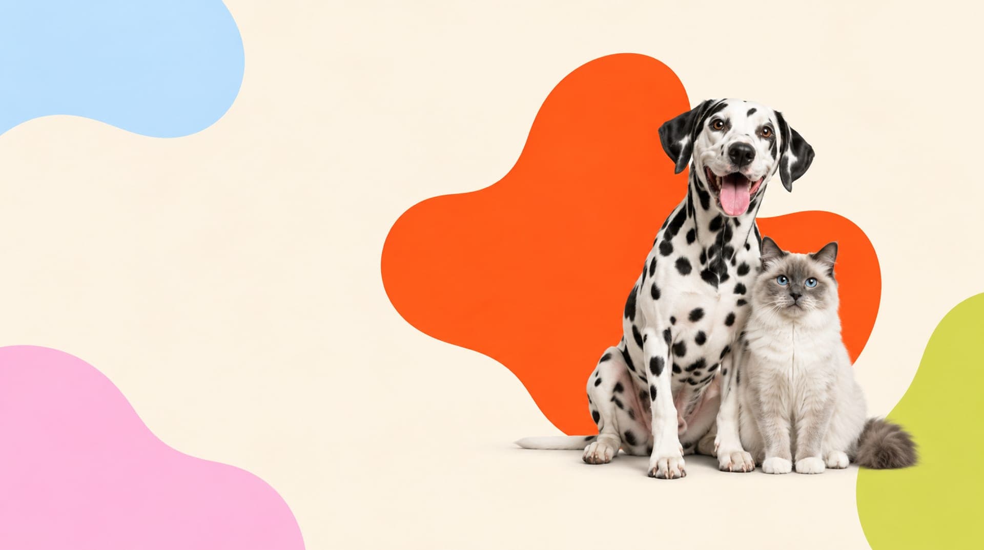 Mutlu kediler ve köpekler — PetHub marka görseli