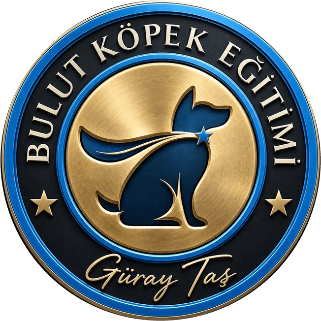 Bulut Köpek Eğitim Merkezi - İzmir Bornova