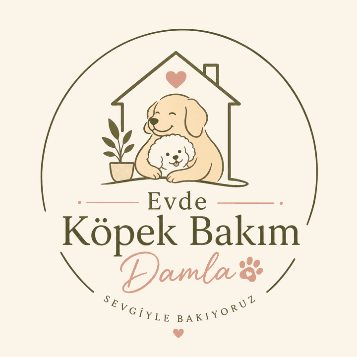 Evde Köpek Bakım Damla - İstanbul Ataşehir