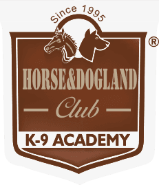 Horse & Dog Land Pet Otel ve Eğitim Merkezi - İstanbul Büyükçekmece