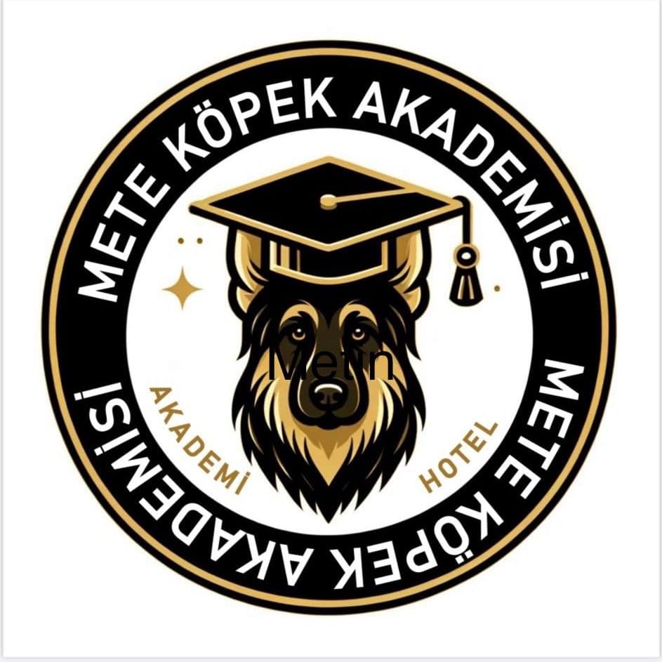 Mete Köpek Akademi - Bursa Osmangazi