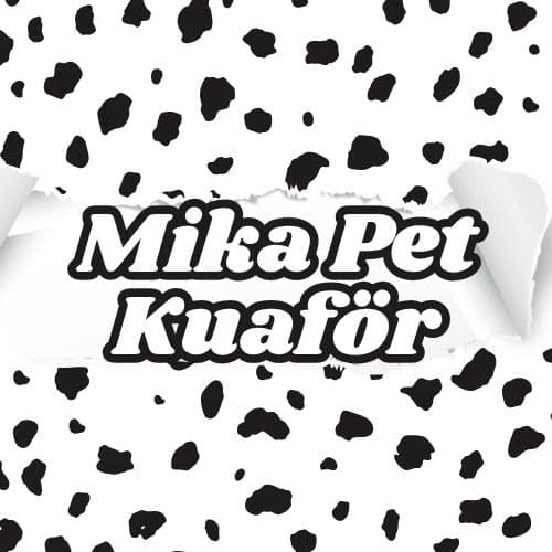 Mika Pet Kuaför&Otel - İstanbul Kadıköy