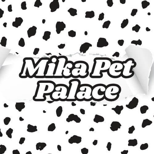 Mika Pet Palace - İstanbul Beykoz