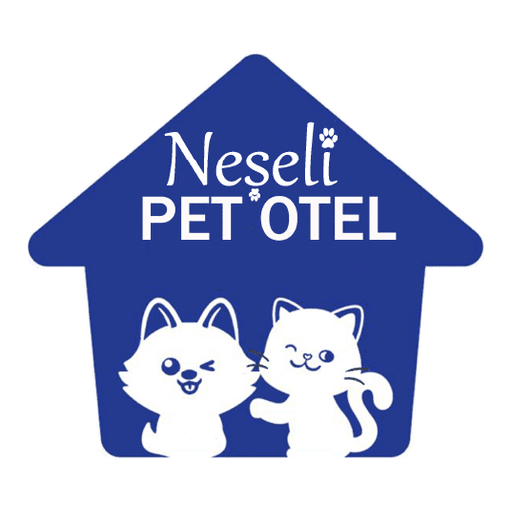 Neşeli Pet Otel - İstanbul Beykoz