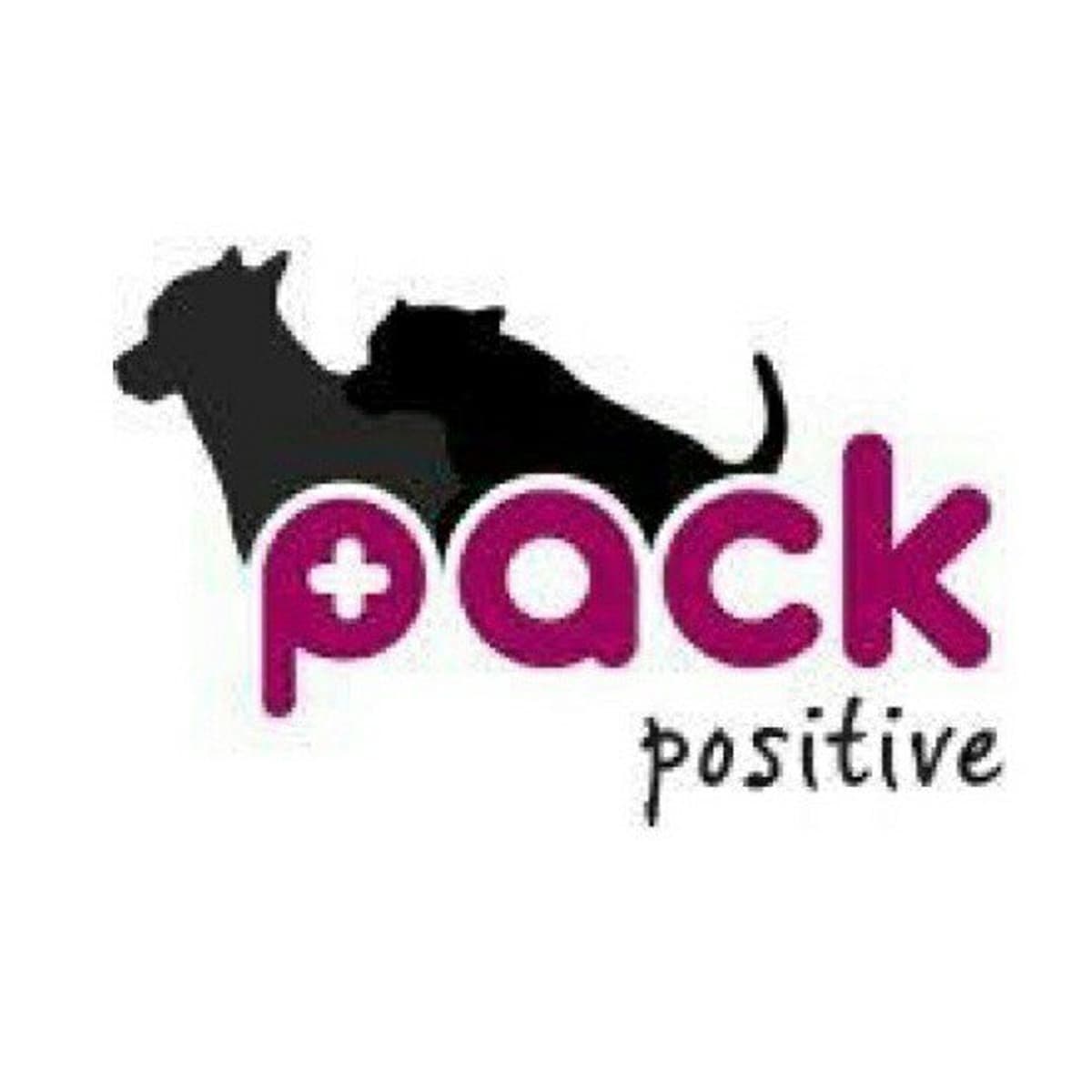 Pack Positive Profesyonel Köpek Hizmetleri - İstanbul Göktürk