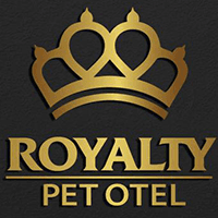 Royalty Pet Otel - İstanbul Eyüpsultan