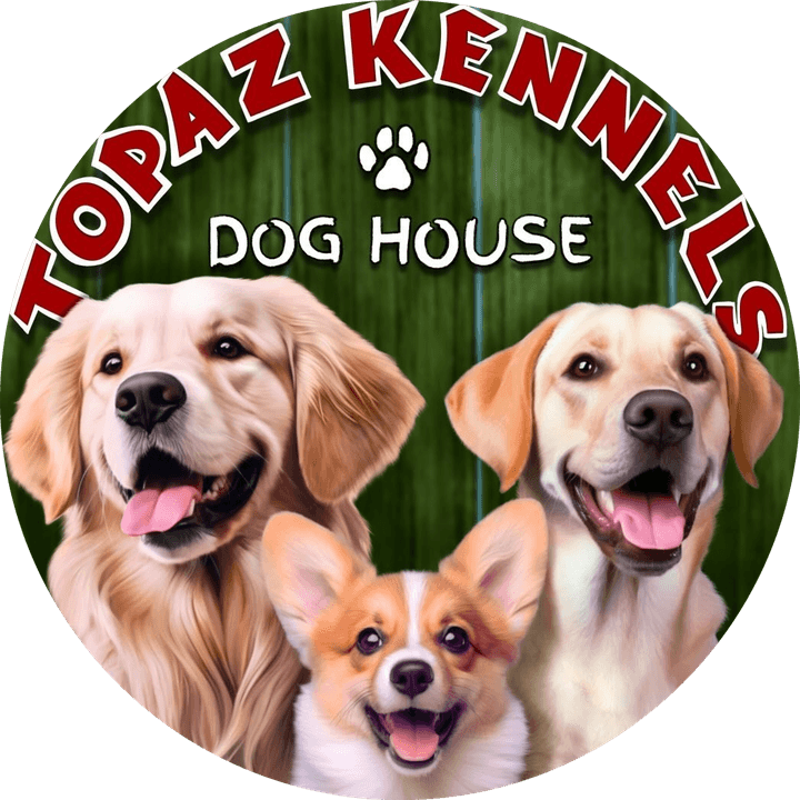 Topaz Kennels Pet Otel ve Eğitim Merkezi - İstanbul Beykoz