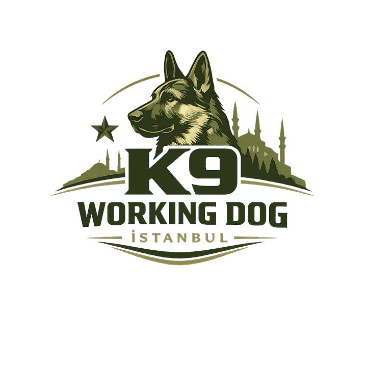 Working Dog Club IGP Eğitim - İstanbul Beykoz
