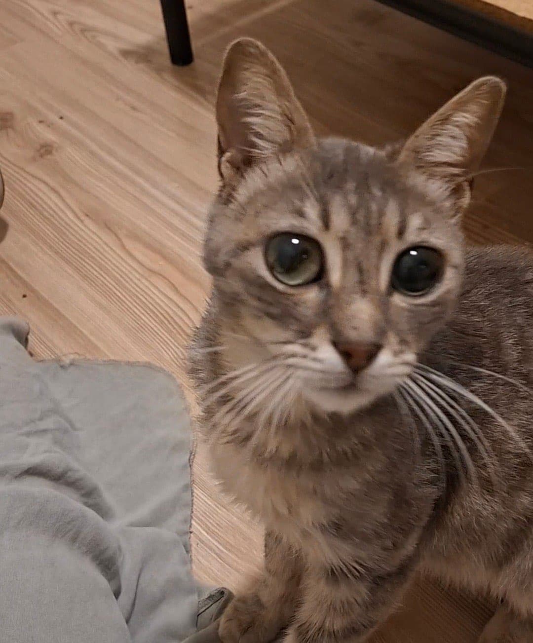 Oscar — Kadıköy, İstanbul