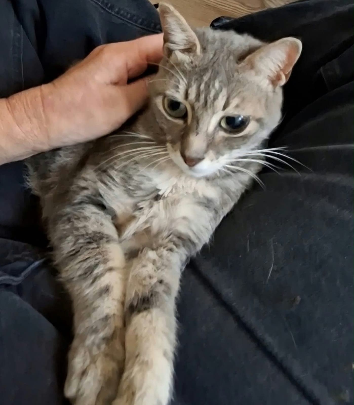 Oscar — Kadıköy, İstanbul (4)