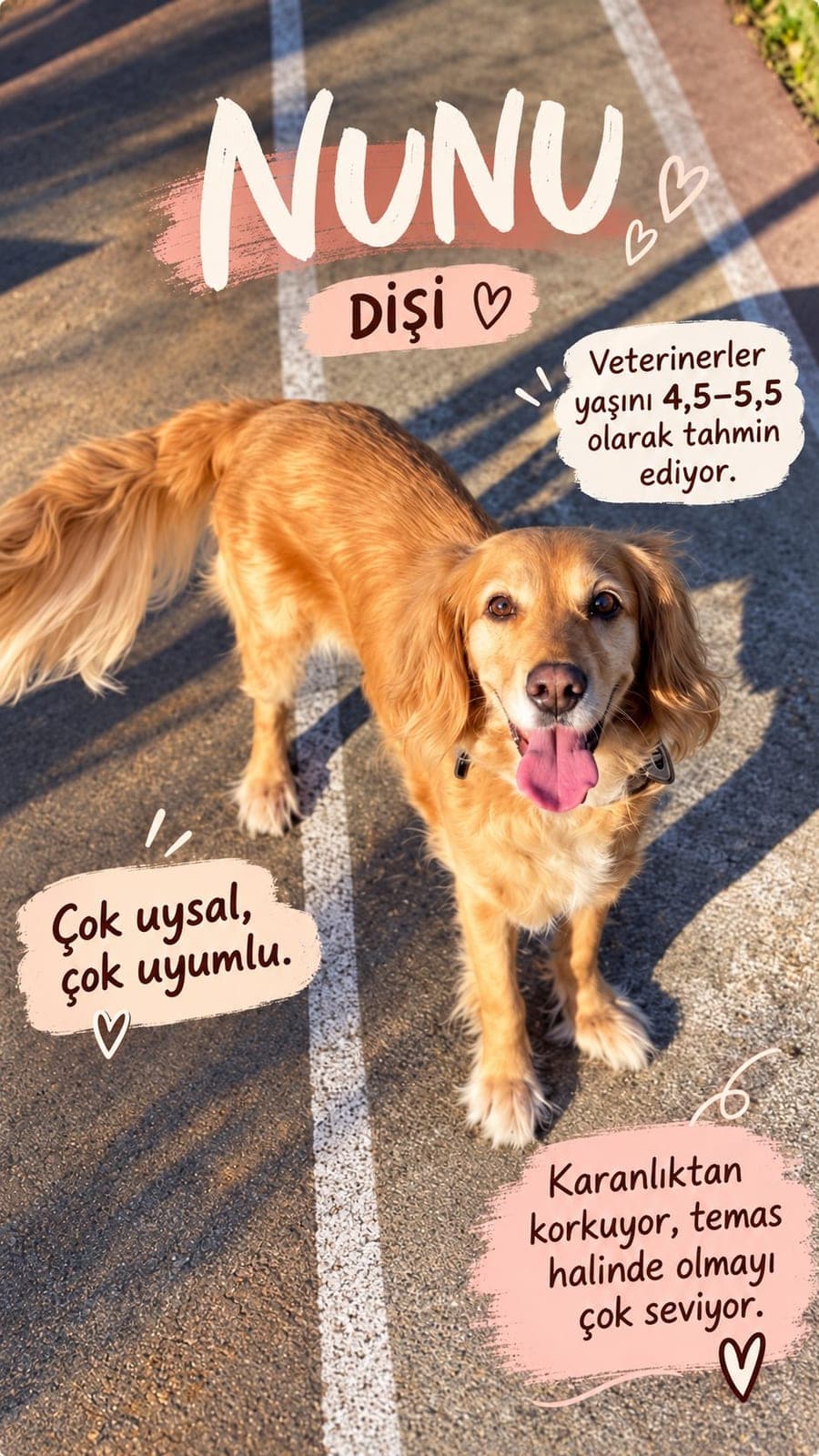 Nunu — Beykoz, İstanbul