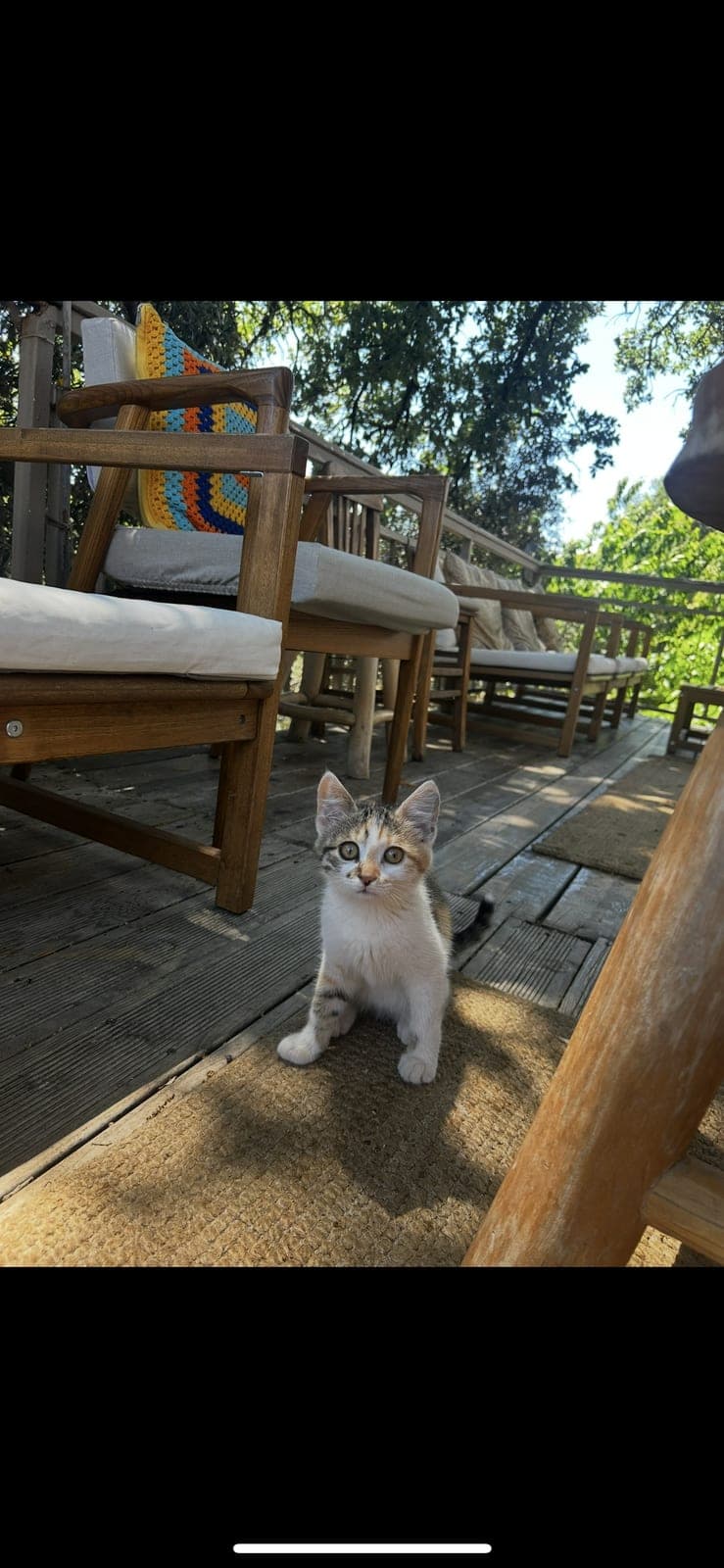 Boncuk — Beykoz, İstanbul