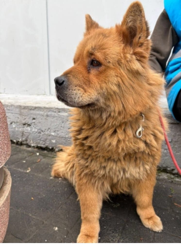 Teddy — Beyoğlu, İstanbul
