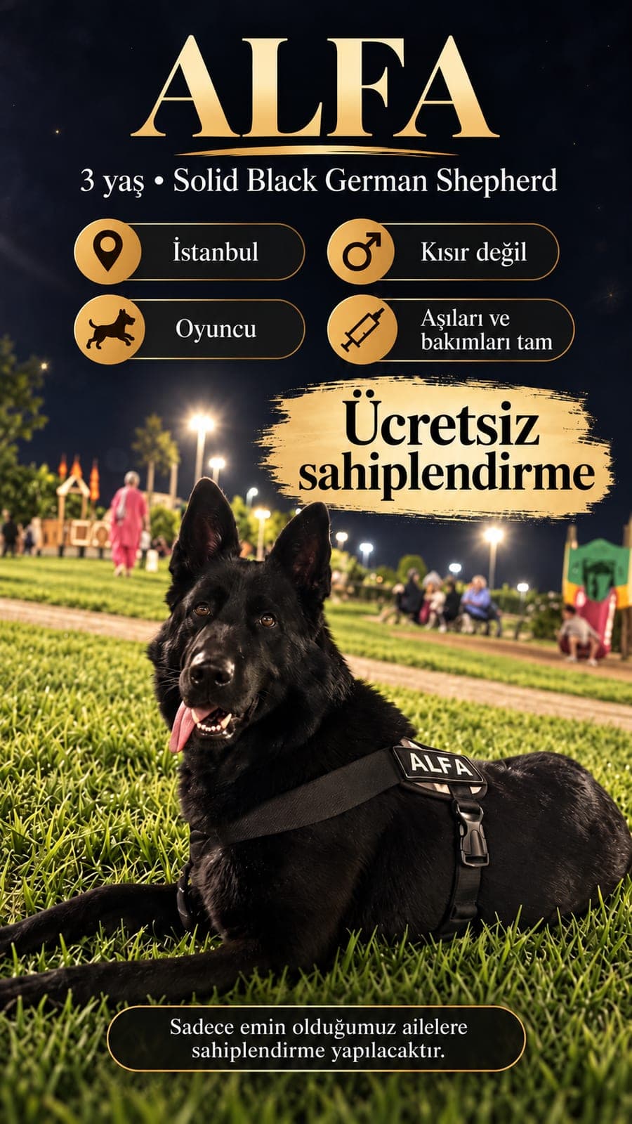 Alfa — Beykoz, İstanbul