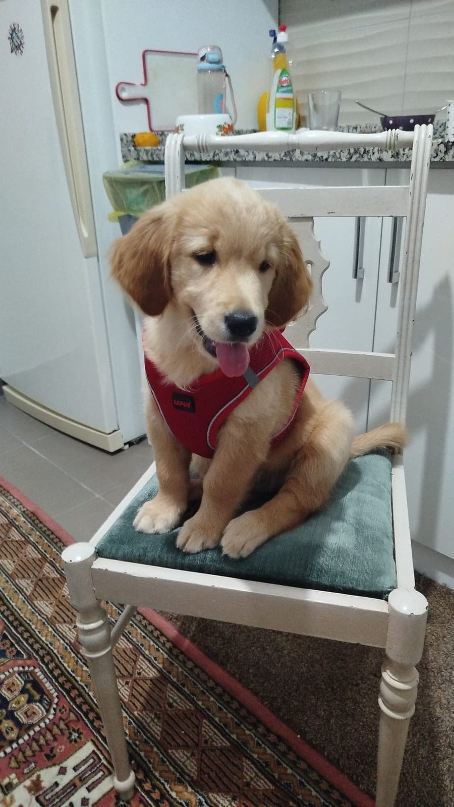 Şila — Gölcük, Kocaeli (3)