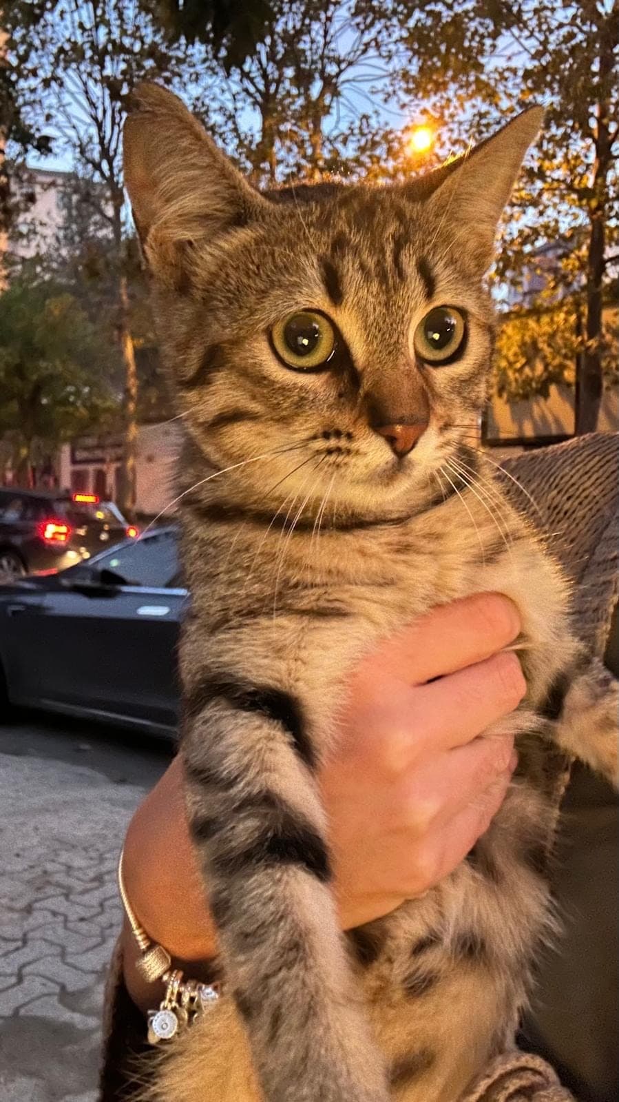 Pamuk — Kadıköy, İstanbul