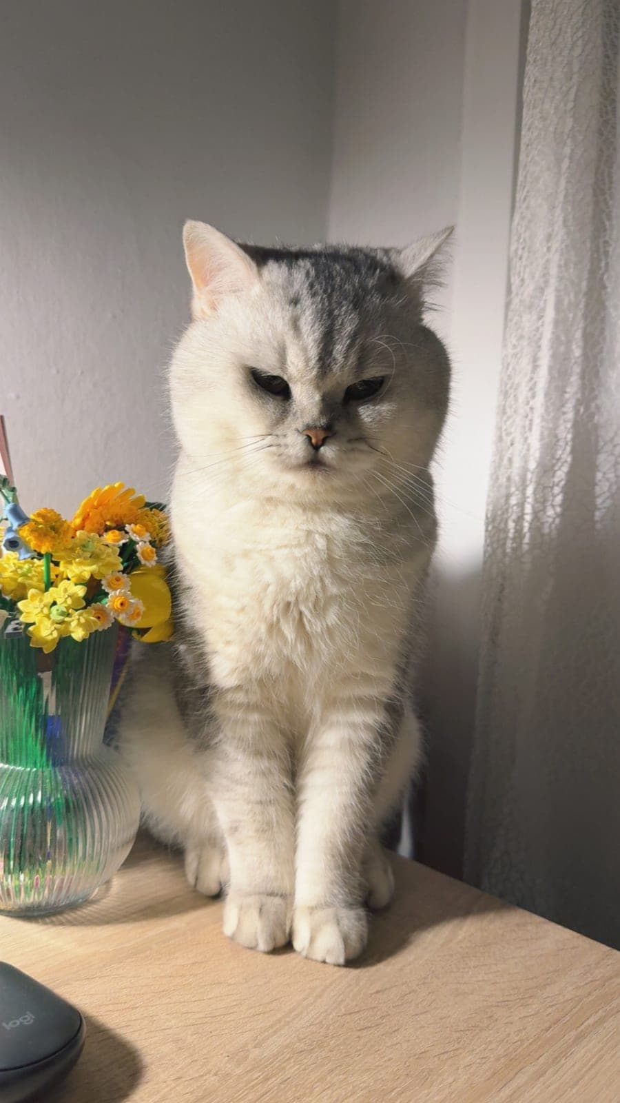 Appa — Bahçelievler, İstanbul