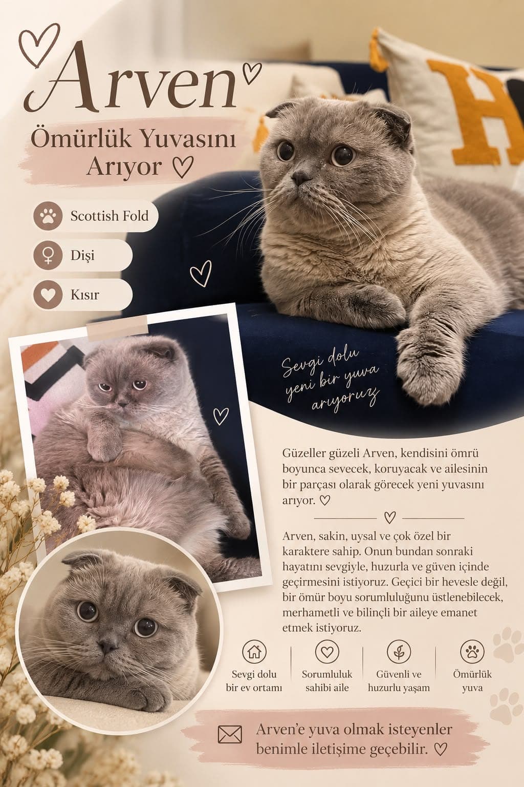 Mia ve arven — Çankaya, Ankara (2)