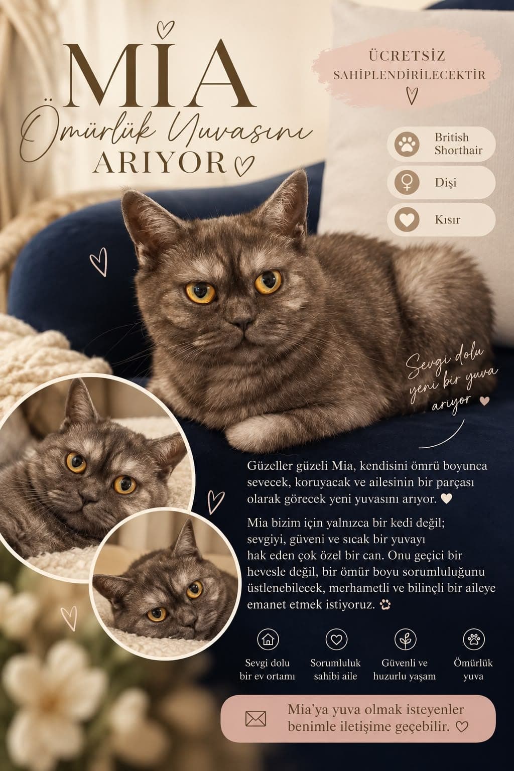 Mia ve arven — Çankaya, Ankara