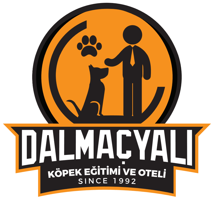 Dalmaçyalı Pet Otel ve Eğitim Hizmetleri - Bursa Osmangazi