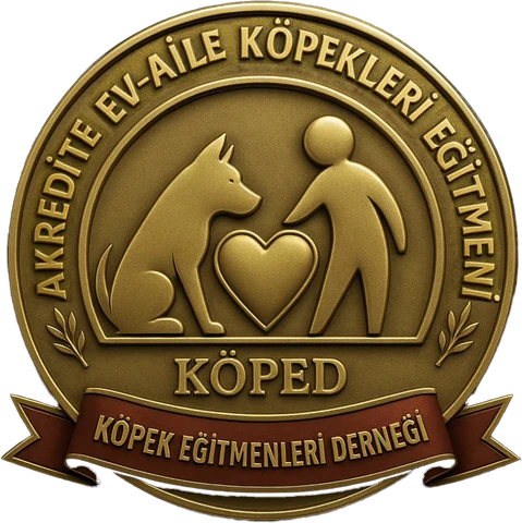 KÖPED Akredite Ev-Aile Köpekleri Eğitmeni