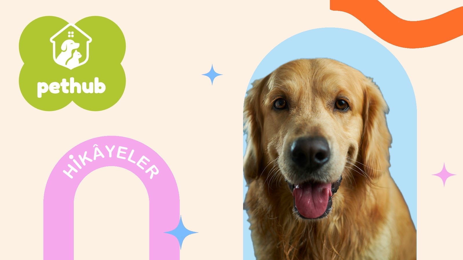 Bretagne: 11 Eylül Aramalarında Görev Alan Golden Retriever