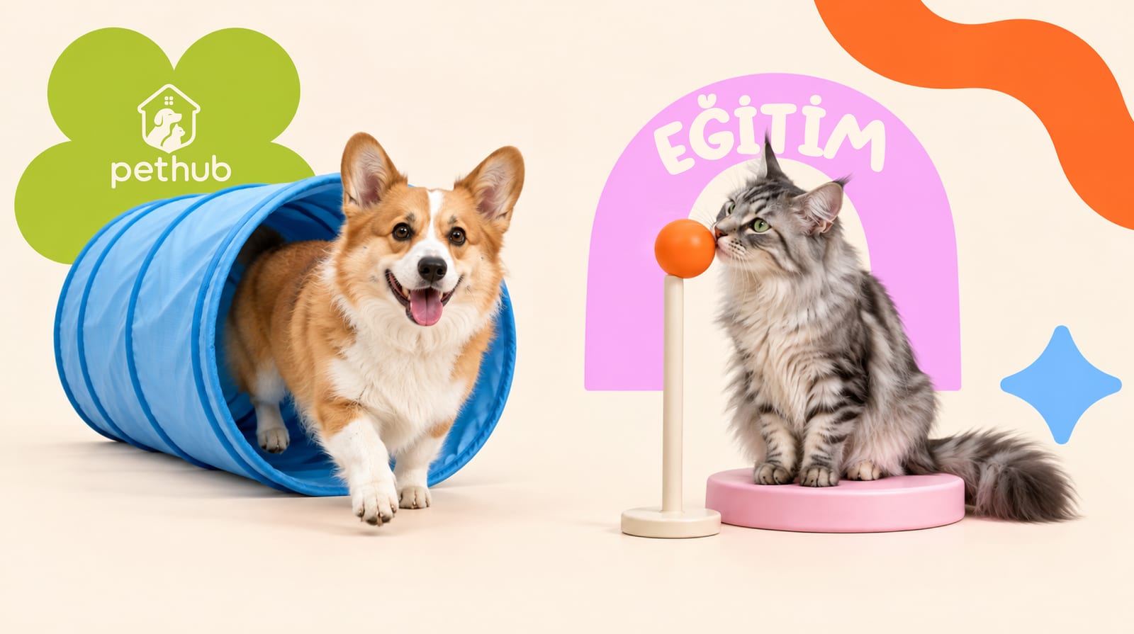 Köpek Eğitiminde Ödül Temelli Yöntem Neden Daha Etkili?