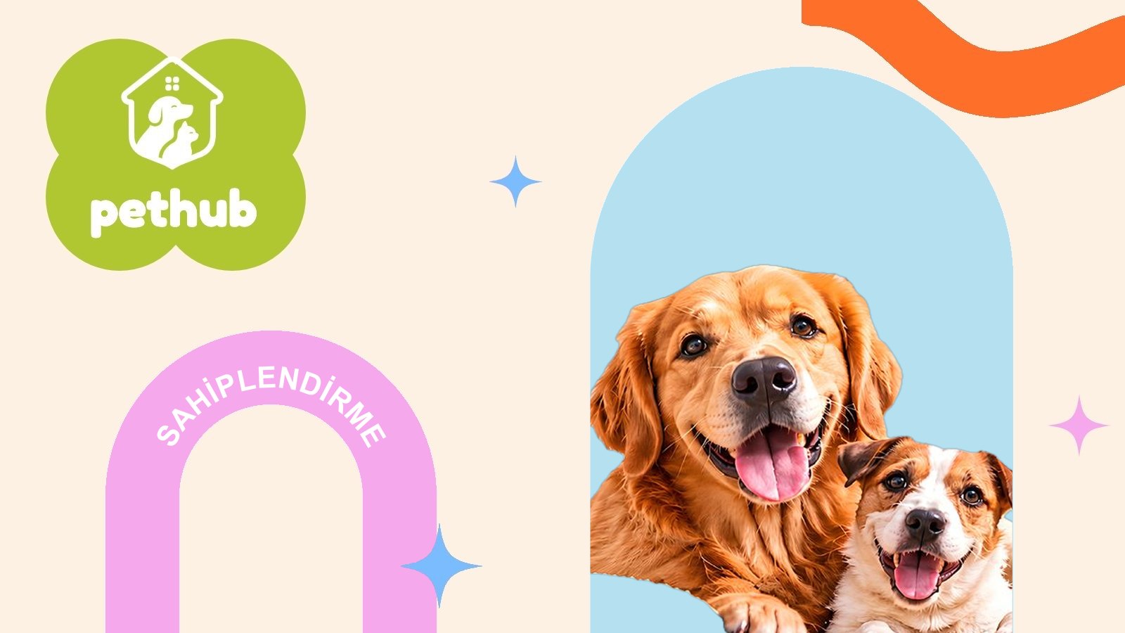 Köpek Sahiplendirme Rehberi: Doğru Köpeği Bulma ve İlk Ay