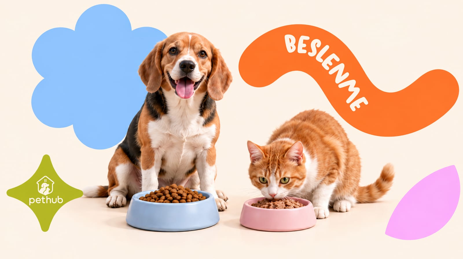 Köpekler İçin Sağlıklı Beslenme Rehberi