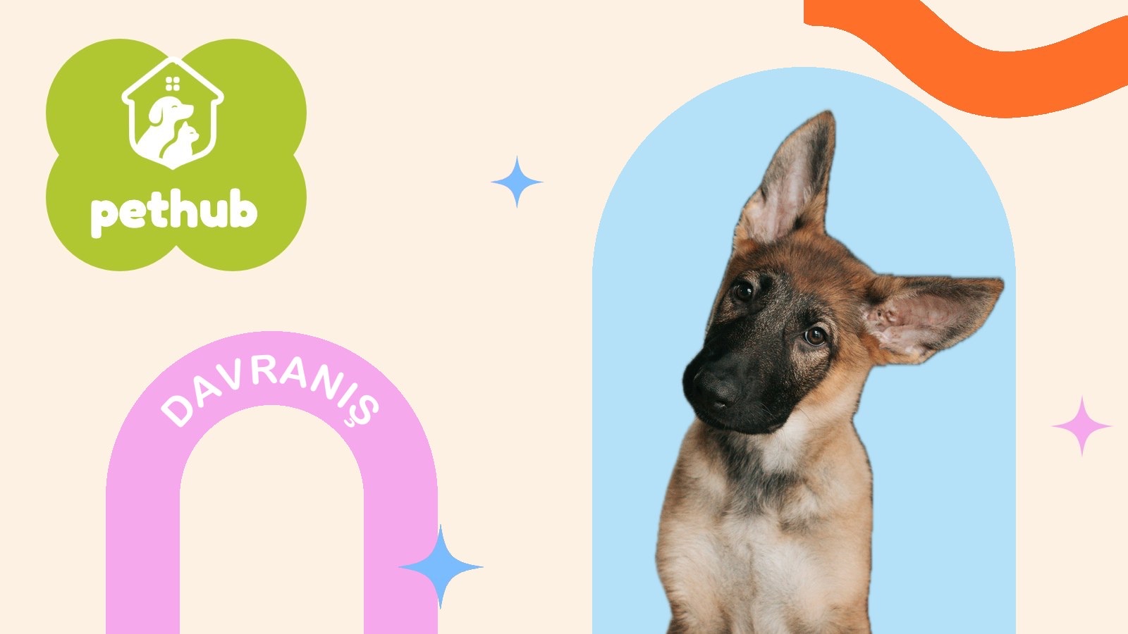 Yeni Köpeğinizle İlk 30 Gün: Gün Gün Yapılacaklar Listesi