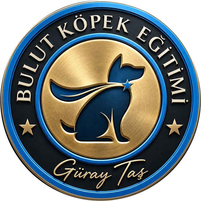 Bulut Köpek Eğitim Merkezi - Bornova