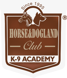 Horse & Dog Land Academy - İstanbul Büyükçekmece
