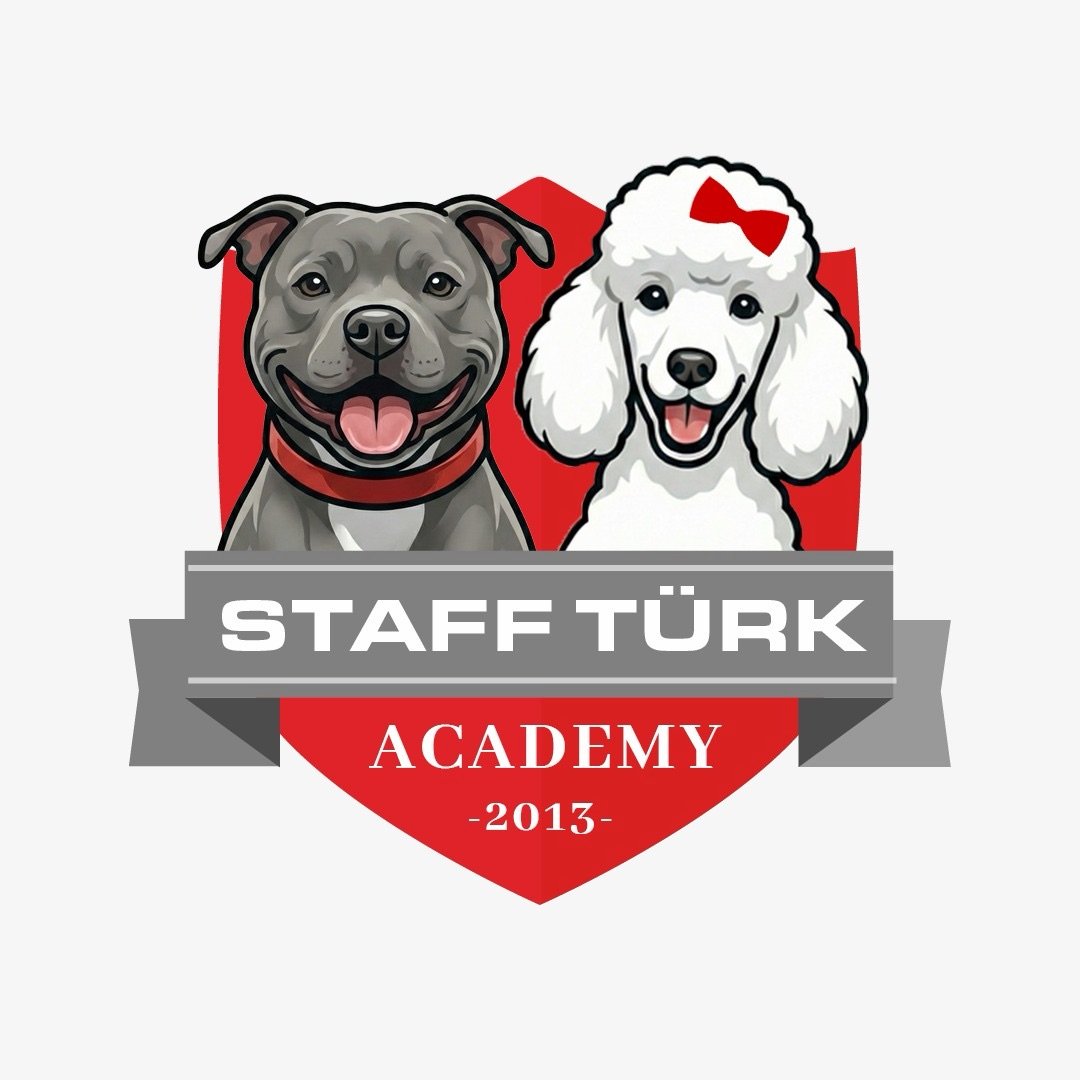 Staffturk Dog Pansiyon - İstanbul Beykoz