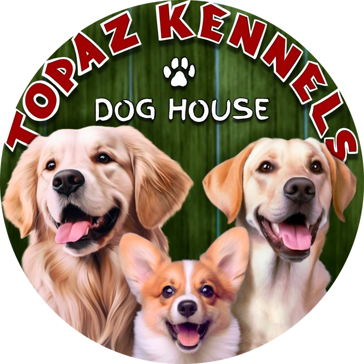 Topaz Kennels Pet Otel ve Eğitim Merkezi - Beykoz