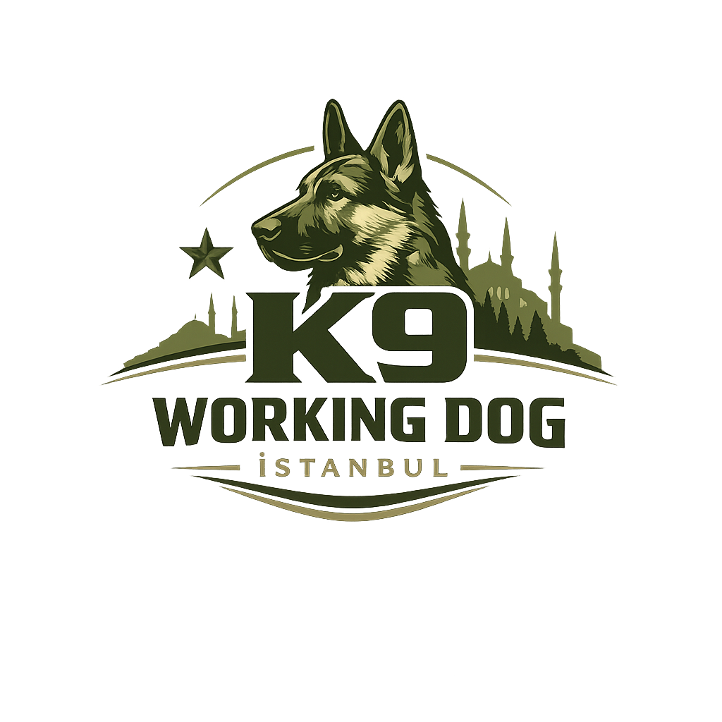 Working Dog Club IGP Eğitim