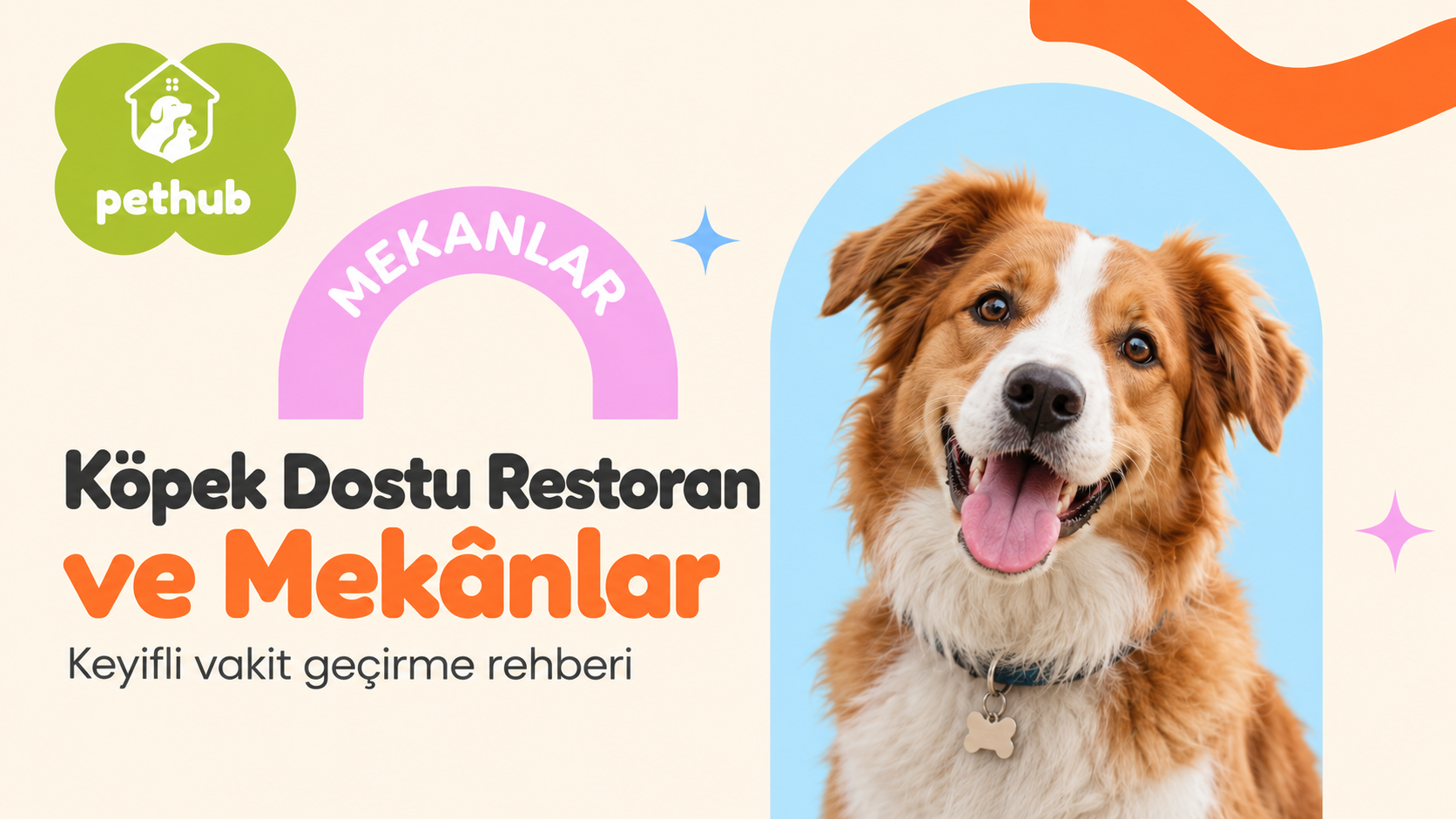 Köpek Dostu Restoran ve Mekânlar