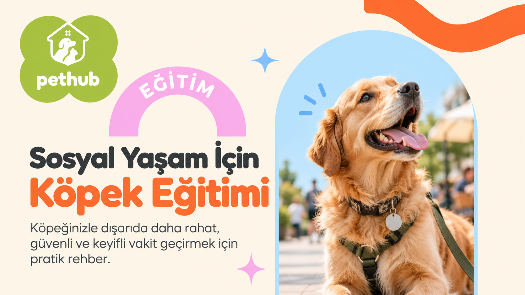 Sosyal Yaşam İçin Köpek Eğitimi